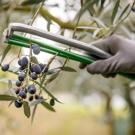 Çiftlik konaklama Agricamping Garda Natura *